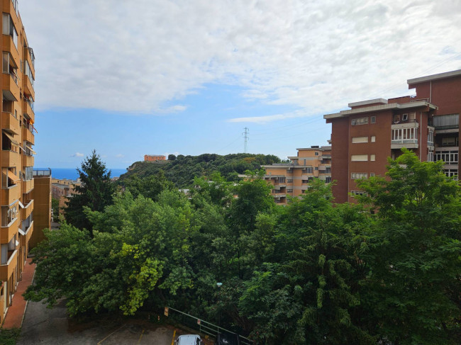 Appartamento in Vendita a Genova #10