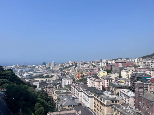 Attico in Vendita a Genova #18